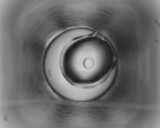 X0000099960789200806131509