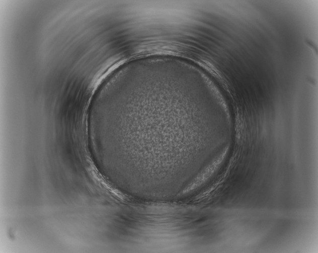 X0000099960790200806131509