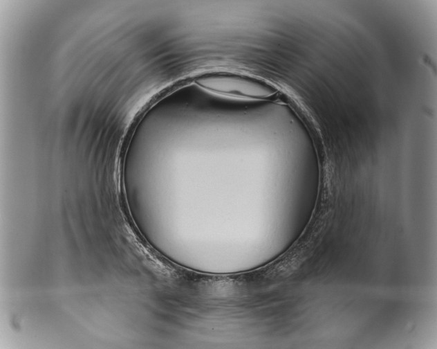 X0000099960791200806131509