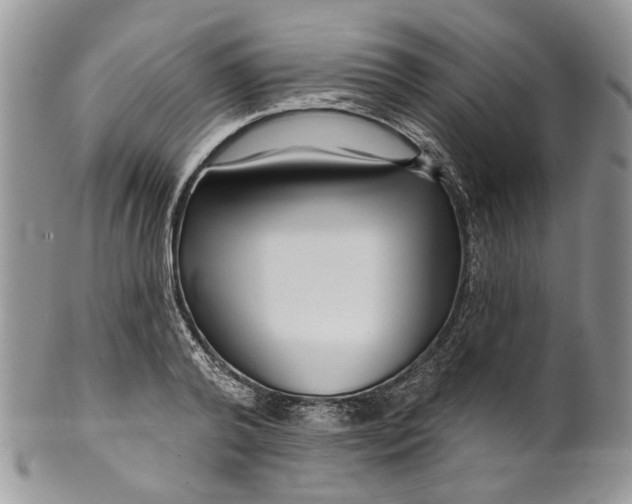 X0000099960792200806131509