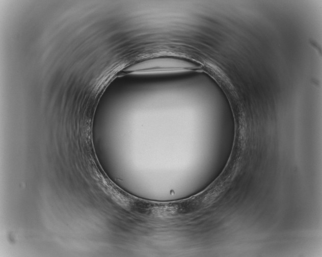 X0000099960793200806131509