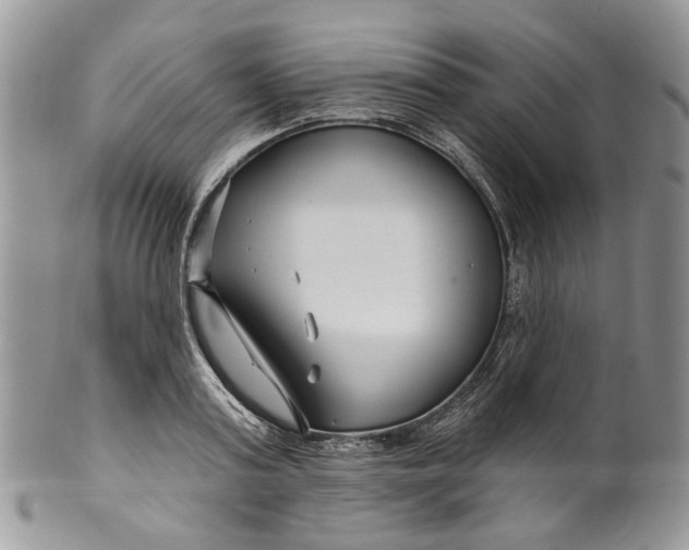 X0000099960795200806131509