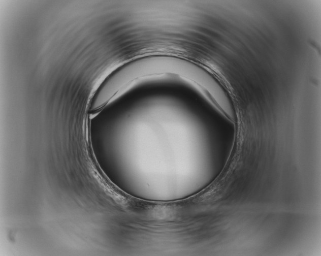 X0000099960796200806131509