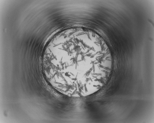 X0000099960798200806131509