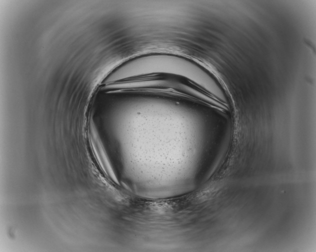 X0000099960799200806131509