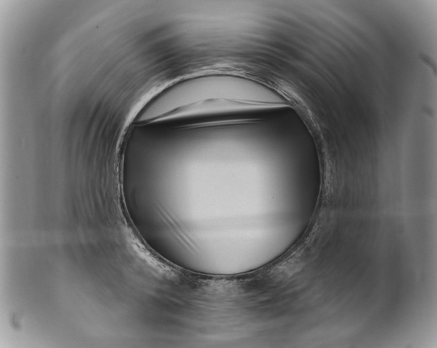 X0000099960800200806131509