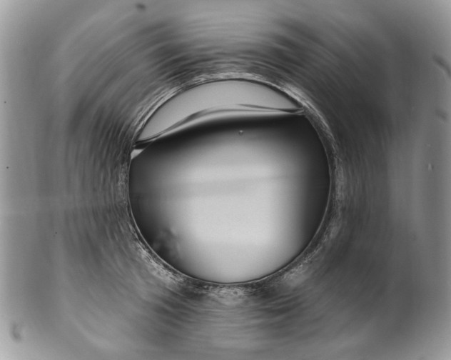 X0000099960801200806131509