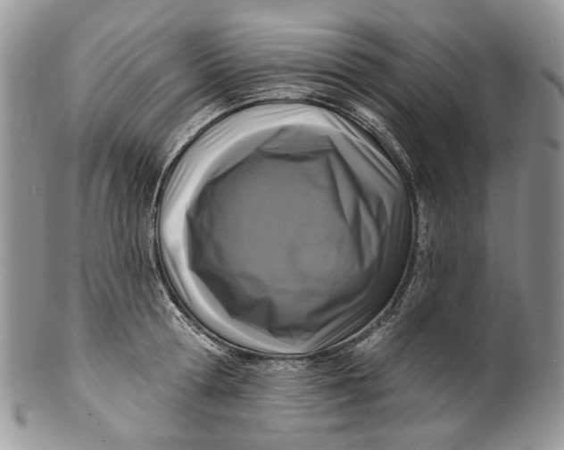 X0000099960802200806131509