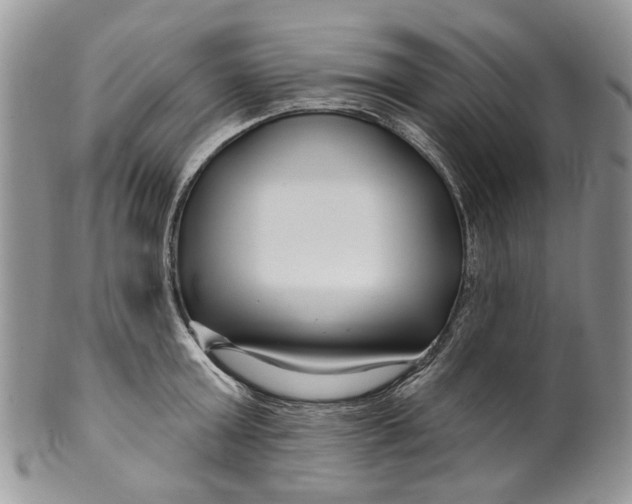 X0000099960803200806131509