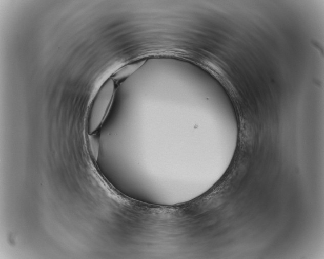 X0000099960804200806131509