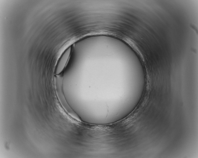 X0000099960805200806131509