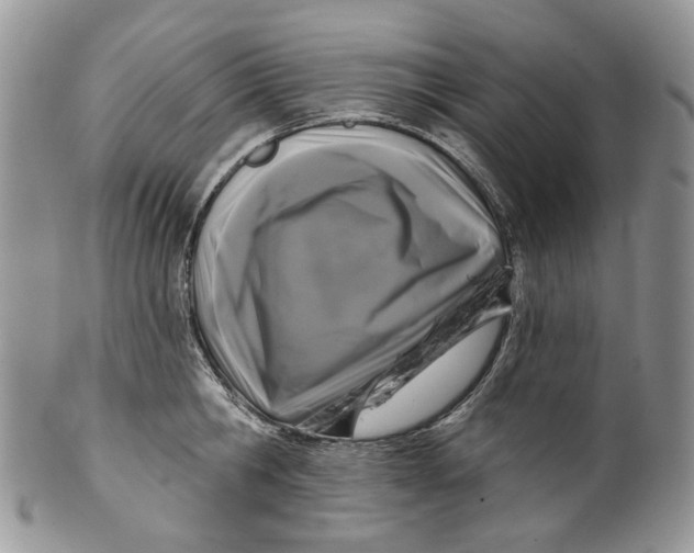 X0000099960806200806131509