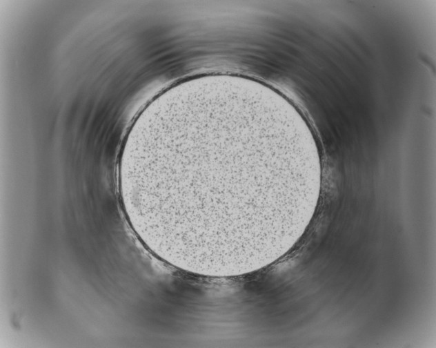 X0000099960807200806131509