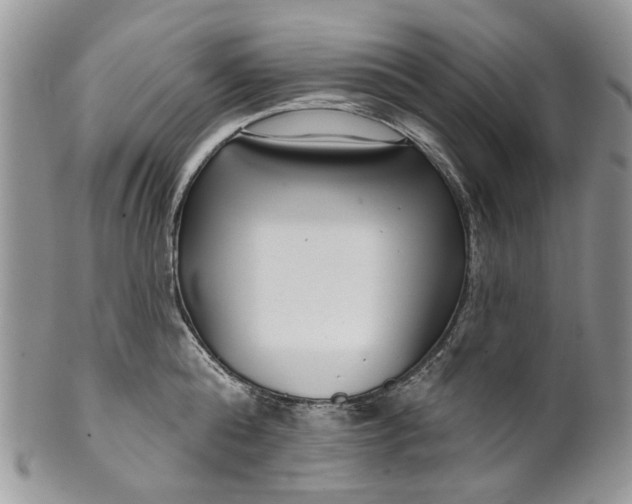 X0000099960808200806131509