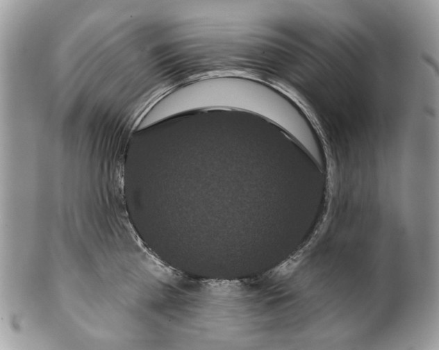 X0000099960809200806131509