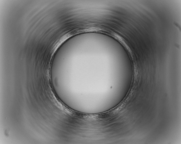 X0000099960810200806131508