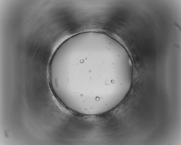 X0000099960811200806131508