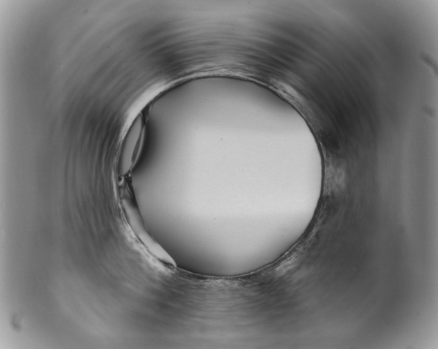 X0000099960812200806131508