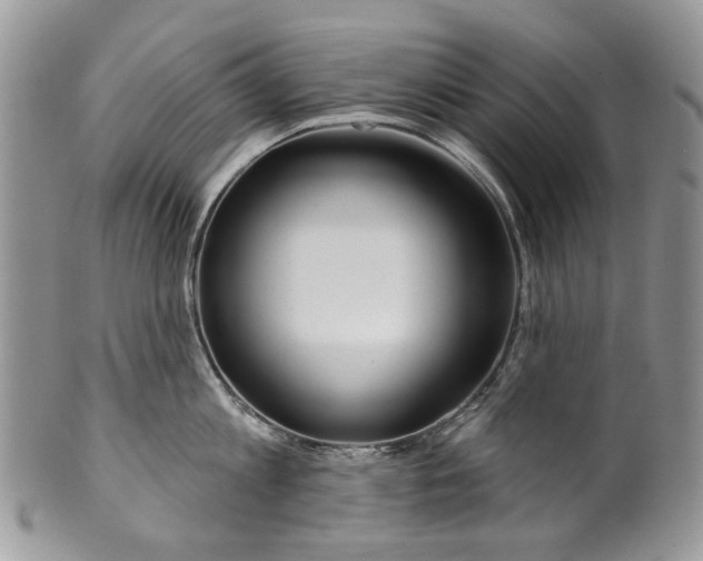 X0000099960813200806131508