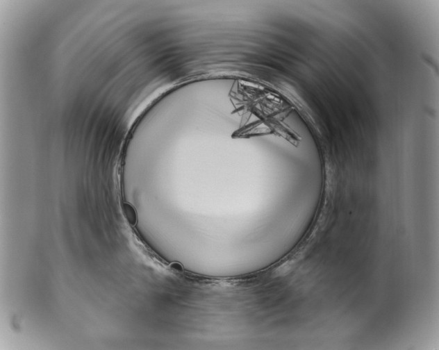 X0000099960814200806131508