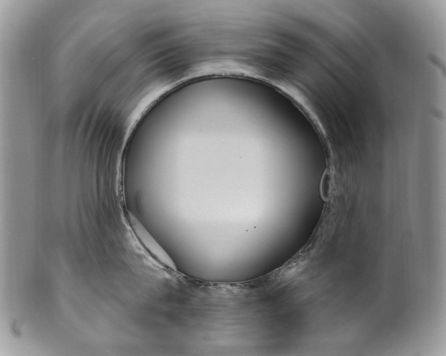 X0000099960815200806131508