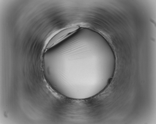 X0000099960816200806131508