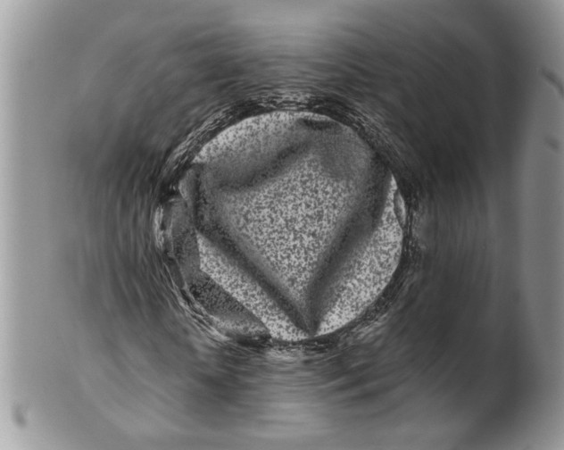 X0000099960818200806131508