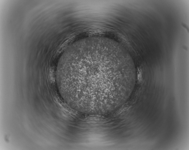 X0000099960819200806131508