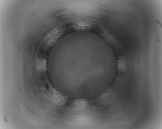 X0000099960820200806131508