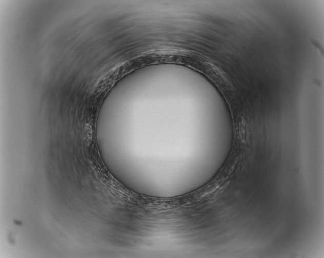 X0000099960821200806131508