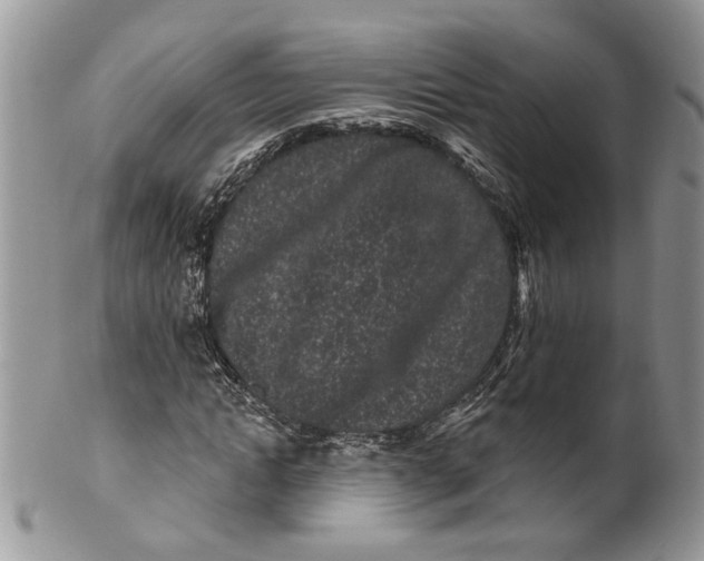 X0000099960822200806131508