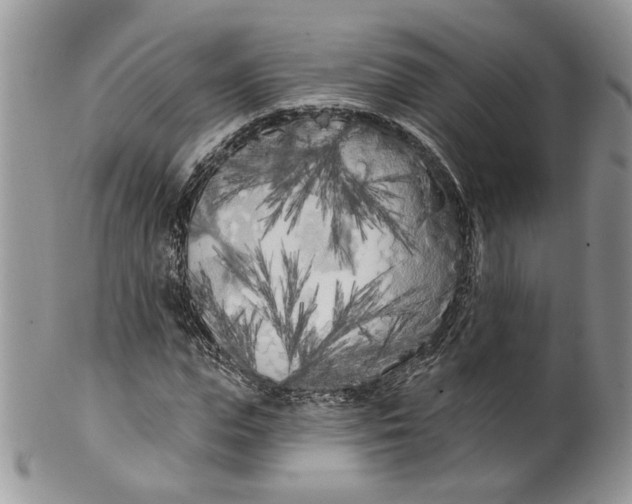 X0000099960823200806131508