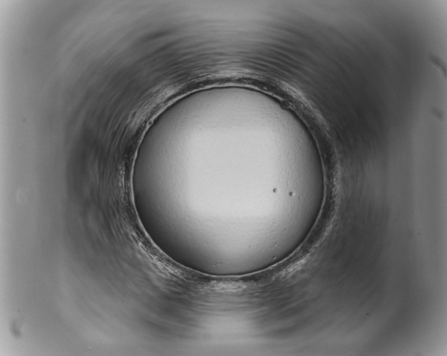 X0000099960825200806131508