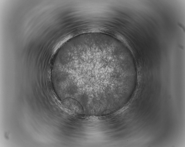 X0000099960827200806131508