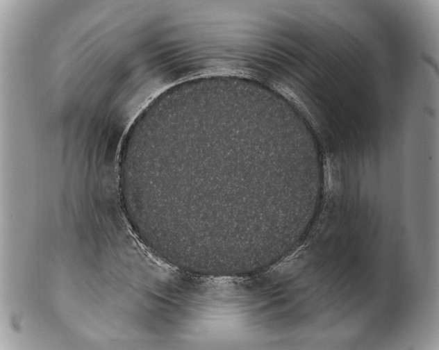 X0000099960828200806131508