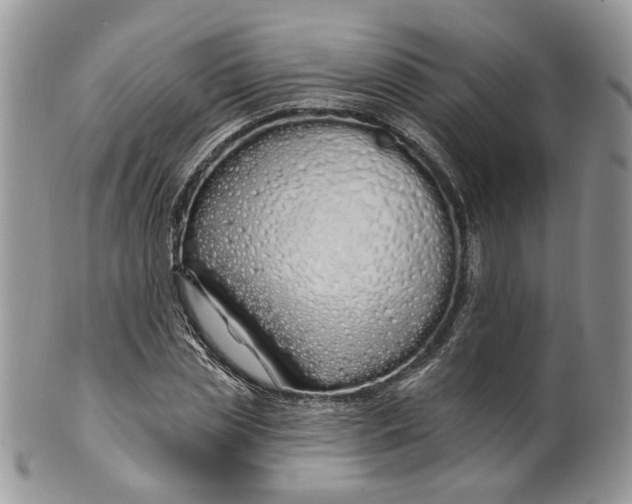 X0000099960829200806131508