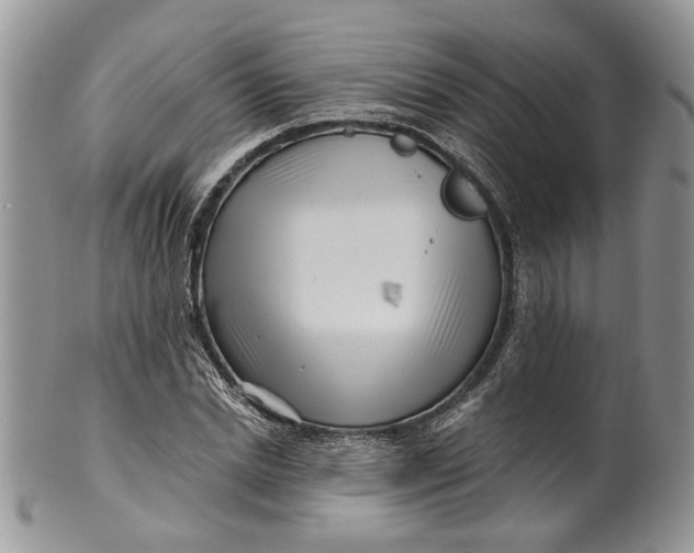 X0000099960830200806131508