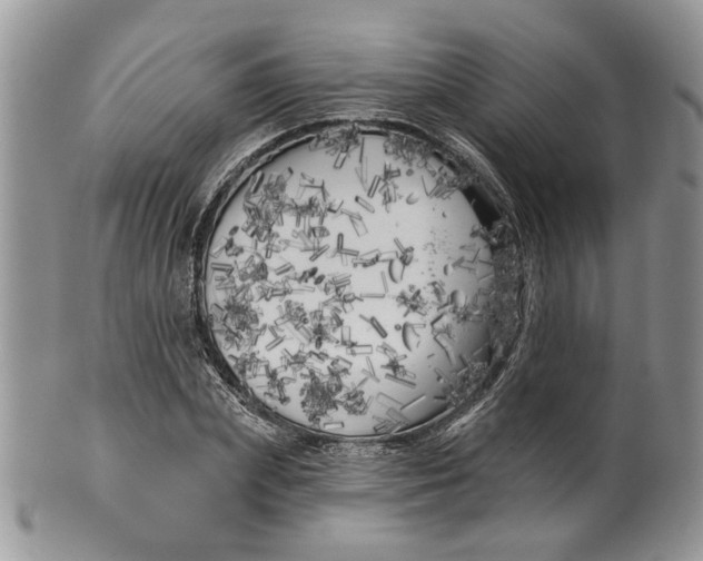 X0000099960831200806131508