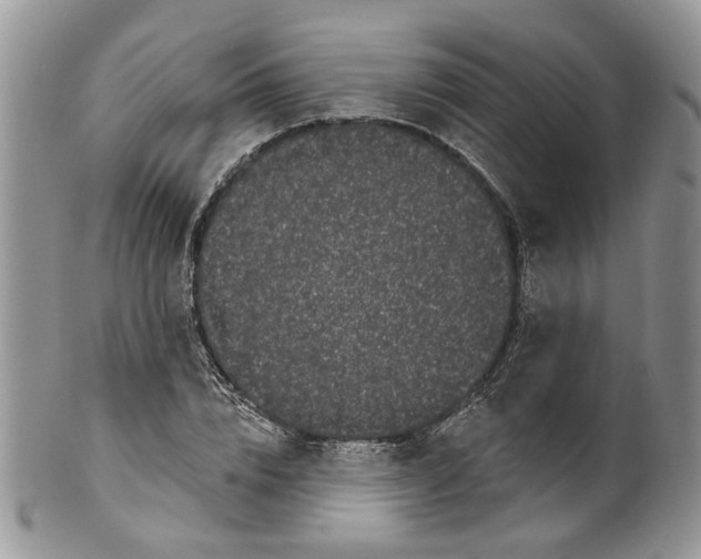 X0000099960832200806131508