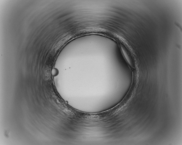 X0000099960833200806131508