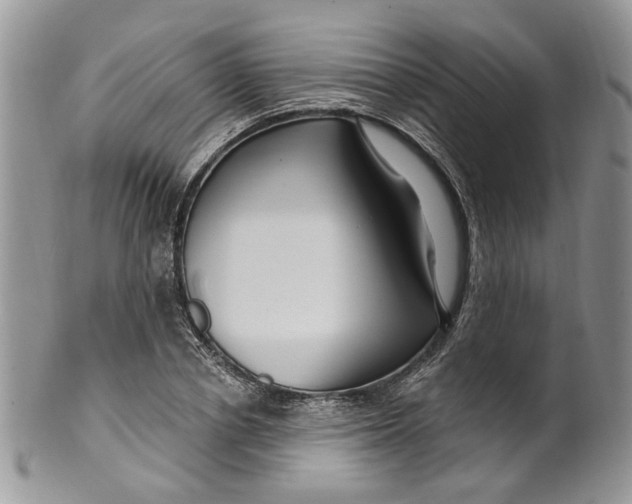 X0000099960834200806131508