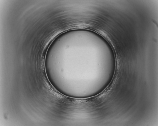 X0000099960835200806131508