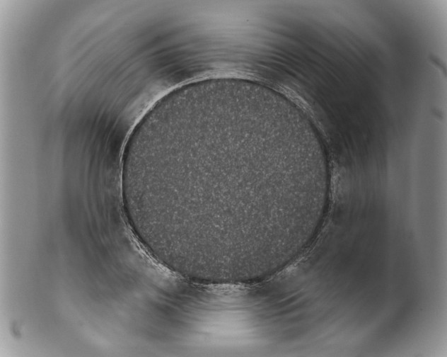 X0000099960836200806131508