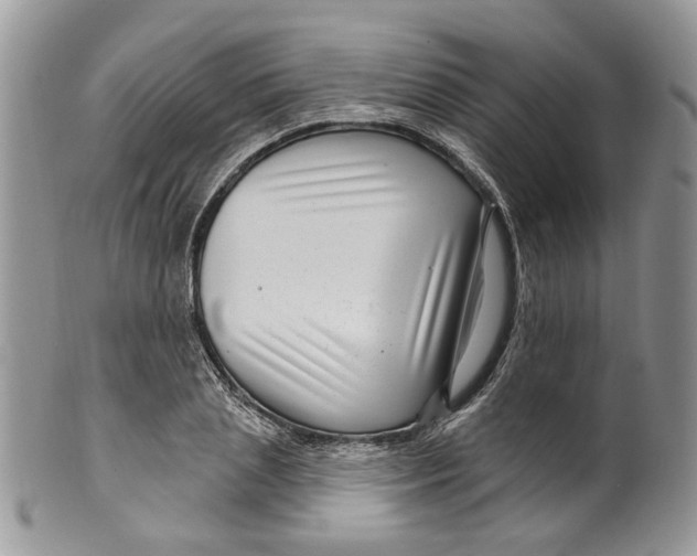 X0000099960837200806131508