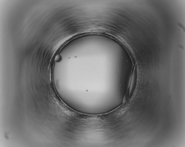 X0000099960838200806131508