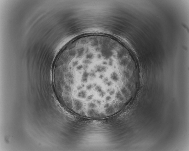 X0000099960839200806131508