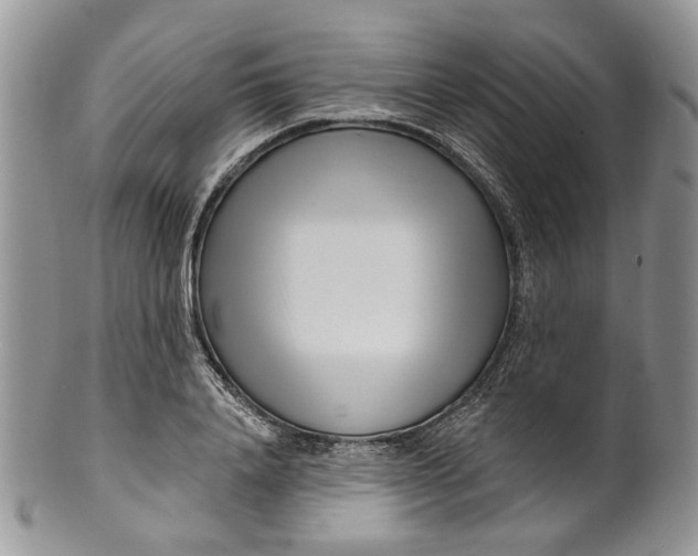 X0000099960840200806131508