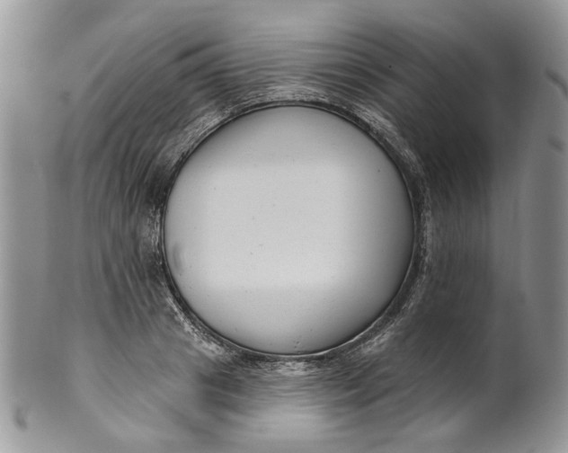 X0000099960841200806131508