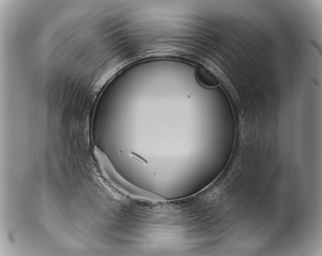 X0000099960842200806131508