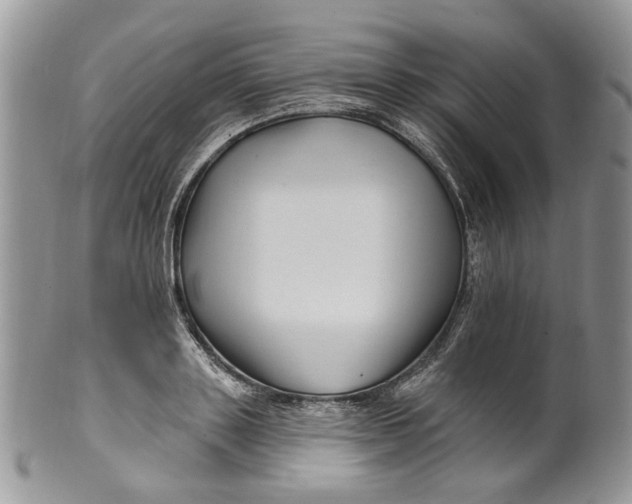 X0000099960843200806131508